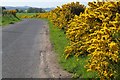 Part of the Benzil to Forfar Road in Summer