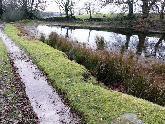 Pond at Rhyswg-ganol