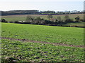 View across the fields towards Long Lane Farm