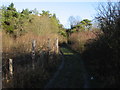 View along a byway from Golgotha