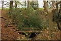 SD5927 : Footbridge in Beeston Wood by Mr T