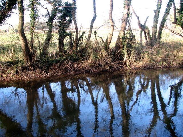 River Bure - reflections