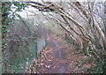 Path at chalk cliff top near Needham Market