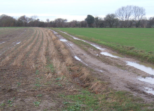 Track near Titley Hill, between Darmsden and Barking
