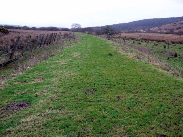 the old railway cycle route new forest