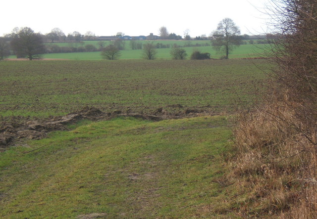 View across fields towards Willisham