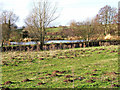 Northern end of Wilden Pool