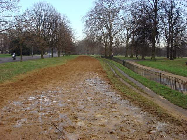 Bridleway in Hyde Park