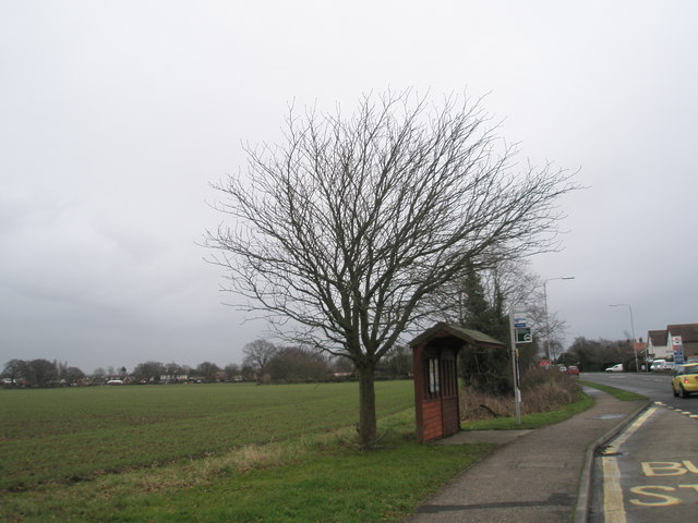 Bus stop on the A259