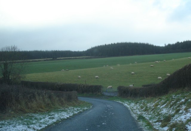 Lane to Pen-y-cwm
