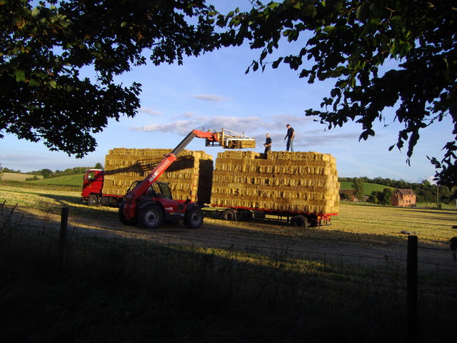 The end of Harvest at Lower Hopstone