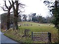 Pasture near Vaynor Park