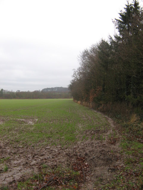 Muddy Fields
