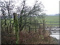 Sign for the footpath past Birchymoor Coppice