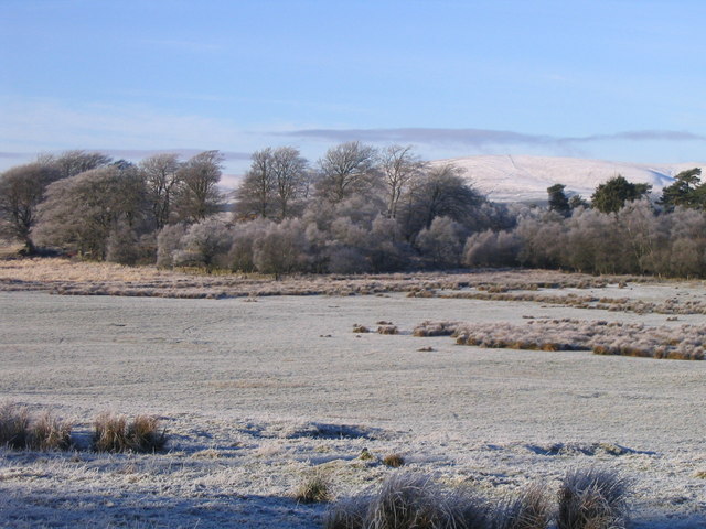 Frosty field and woodland at Lamancha