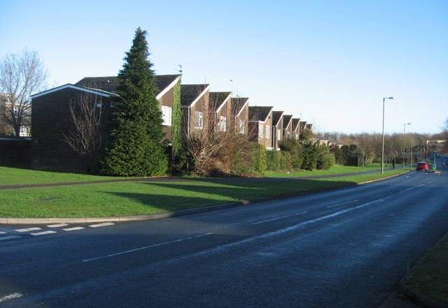 Housing on Oakridge Road