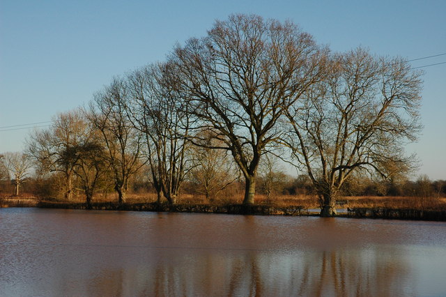 Trees in floodwater at Baughton