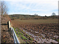 Waterlogged farmland by the Ledbury bypass