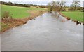 The River Lagan near Magheralin