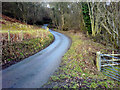 Lane below Bwlch Coch