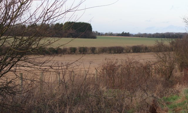 Fields, Sutton Down Farm