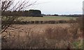 Fields, Sutton Down Farm