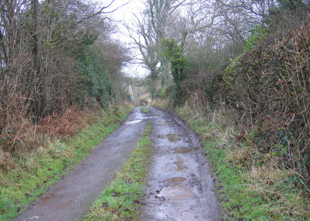 Bridleway Past Rachfynydd
