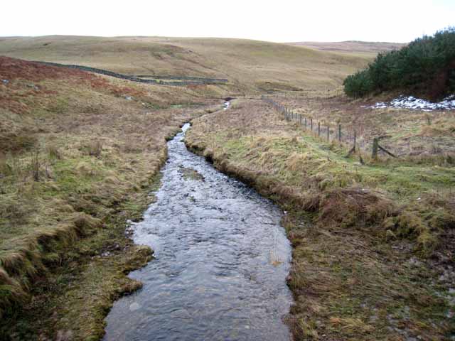 One of the headwaters of the Cottonshope Burn