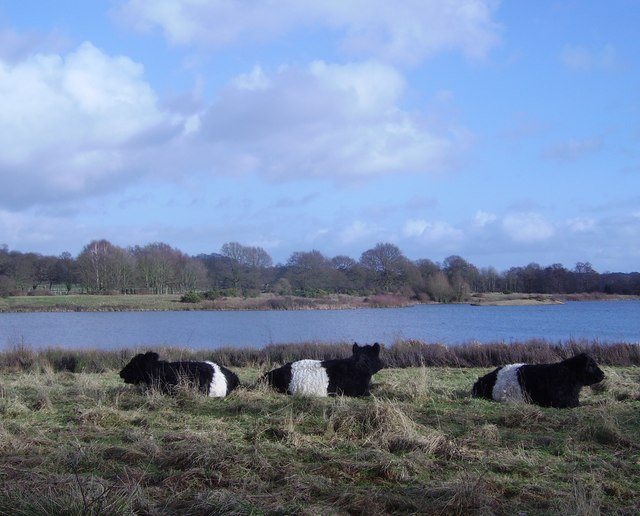 Moor Green Lake and Nature Reserve