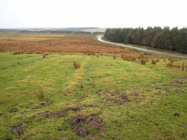 Near Redesdale Camp © Oliver Dixon :: Geograph Britain and Ireland