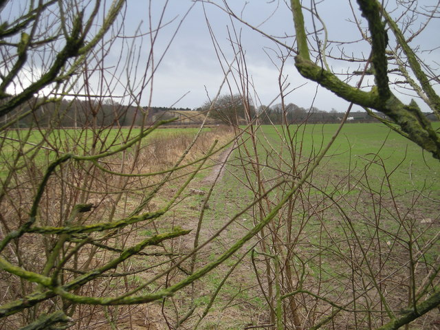 Path next to field boundary