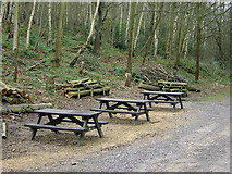 SK5647 : Bestwood Country Park - Picnic area near Alexandra Lodge by Alan Murray-Rust