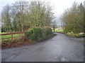 Driveway from The Woodlands (Trench Hall)