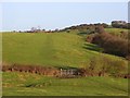 Pastures above Quainton