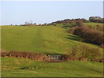 SP7420 : Pastures above Quainton by Andrew Smith