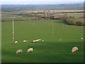 Pastures, Hogshaw