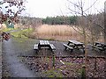 Acomb Minewater Treatment Scheme