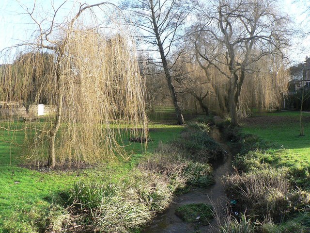 Coy Pond Gardens: stream and willows