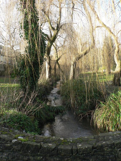 Coy Pond Gardens: upstream from bridge