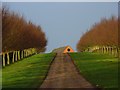 Driveway to Meadows Farm, Badby