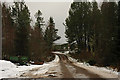 Forest and farm buildings at Rychraggan