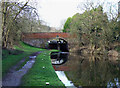 SO8687 : Staffordshire and Worcestershire Canal  at Gothersley Bridge by Roger  Kidd