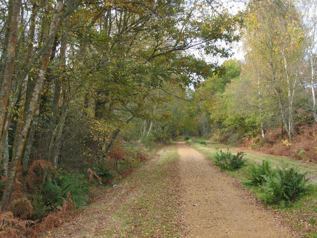 Castleman Trailway