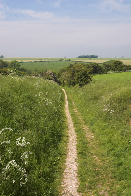 Pathway to Wharram Percy
