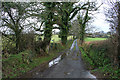 Yealmpton: towards Hall Torrs