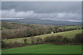 Yealmpton: towards Dartmoor