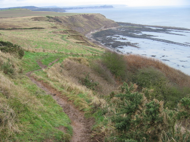 Cleveland Way above Gristhorpe Cliff