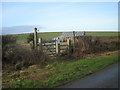 Footpath to Rowans Wood