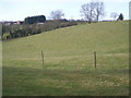 Grazing land at Rowley