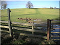 Footpath to Shiregrove Bridge.